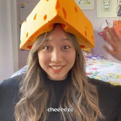 Cheeze by Sarah Kang