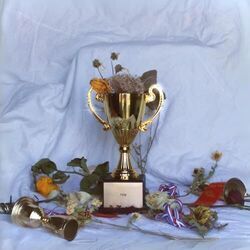 Blood Rush Chords by Sarah Tonin