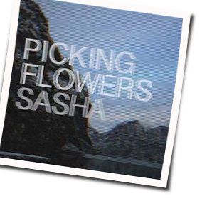 Picking Flowers Chords by Sasha