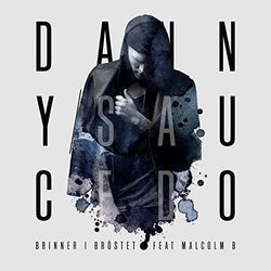 Brinner I Bröstet Chords by Danny Saucedo