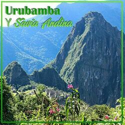 Cacharpaya Del Indio Chords by Savia Andina
