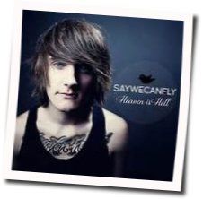 Seventeen Chords by SayWeCanFly
