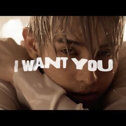 I Want You  Chords by SB19