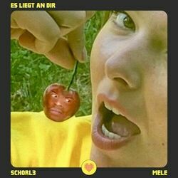 Es Liegt An Dir Chords by Schorl3