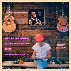 Middle Age Crazy Chords by Scott Ballew