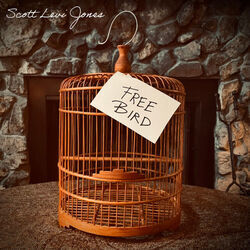 Free Bird Chords by Scott Levi Jones