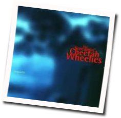Magnolia Chords by Screamin Cheetah Wheelies