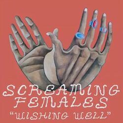 Wishing Well by Screaming Females