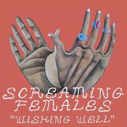 Wishing Well Intro by Screaming Females