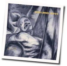 No One Knows Tab by Screaming Trees
