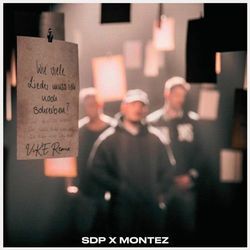 Wie Viele Lieder Muss Ich Noch Schreiben? Chords by SDP