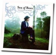 Gnomes Chords by Sea Of Bees