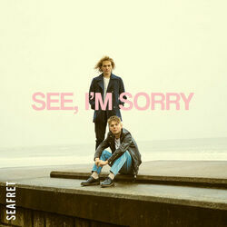 See I'm Sorry by Seafret