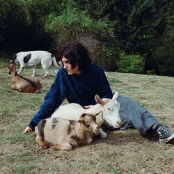 End Of The World Chords by Searows