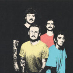 Wild Things Tab by Seaway