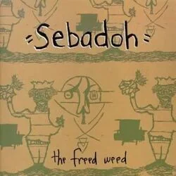 Holy Picture Chords by Sebadoh