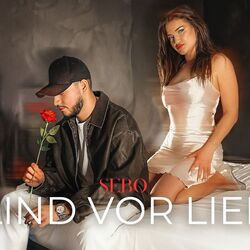 Blind Vor Liebe Chords by Sebo