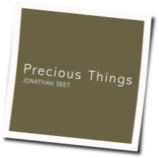 Precious Things by Jonathan Seet