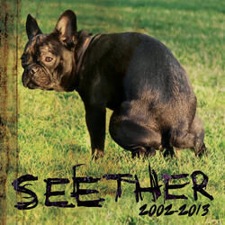 Butterfly With Teeth Tabs by Seether