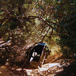 Ty Segall chords for Shoplifter