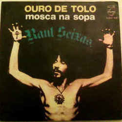 Ouro De Tolo Chords by Raul Seixas