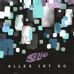 Alles Ist So by Selig