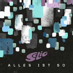 Alles Ist So Chords by Selig