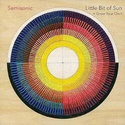 It Wasn't Like We Hoped It Would Be Chords by Semisonic