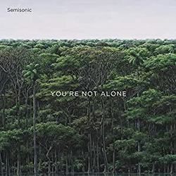 Lightning Chords by Semisonic