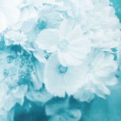 Life With You by Seph Schlueter