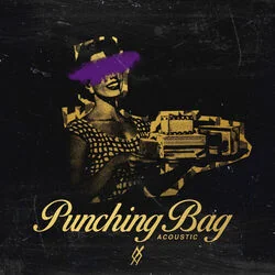 Punching Bag Acoustic Ukulele Chords by Set It Off