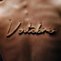Vertebre Chords by Settembre