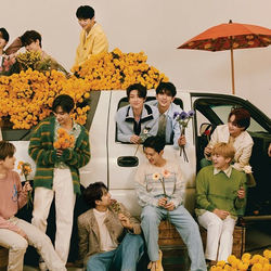 Anyone Bass tabs by Seventeen (세븐틴)
