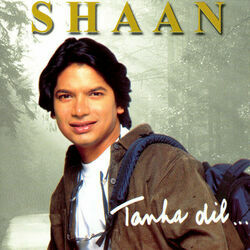 Tanha Dil Tanha Safar Chords by Shaan