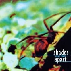 Chasing Daydreams Chords by Shades Apart