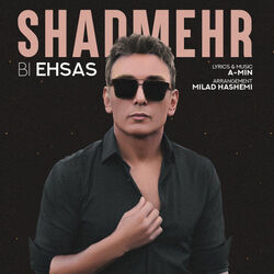 Bi Ehsas Chords by Shadmehr Aghili