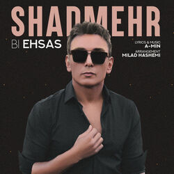 Bi Ehsas by Shadmehr Aghili