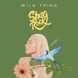 Stacy Chords by Shag Rock