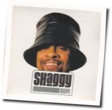 Hope Chords by Shaggy