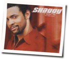 It Wwasn't Me Tabs by Shaggy