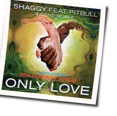 Only Love by Shaggy
