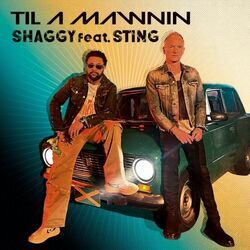 Til A Mawnin Chords by Shaggy