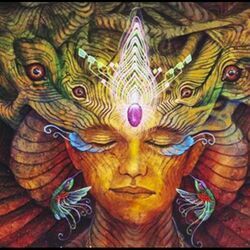 Ancient Mothers Chords by Shahaf Emaya