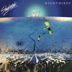 Rio Nights Chords by Shakatak