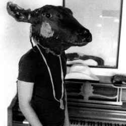 Roll The Bones Chords by Shakey Graves