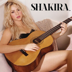Broken Record by Shakira