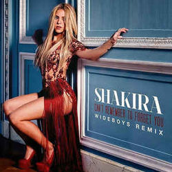 Can't Remember To Forget You  by Shakira