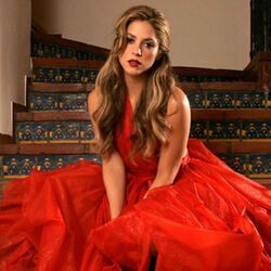 Hay Amores Acoustic Chords by Shakira