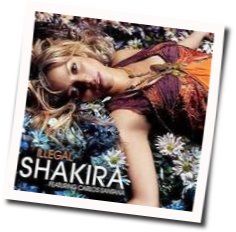 Illegal by Shakira