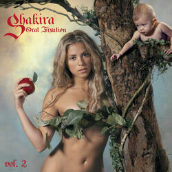 Your Embrace Chords by Shakira